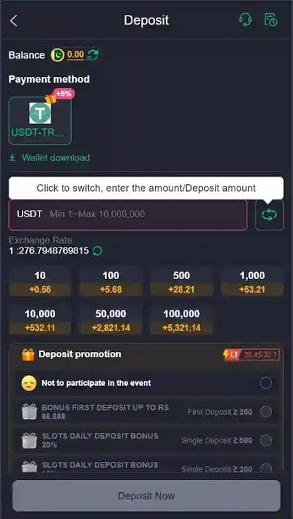 Deposit section showing secure payment options for adding funds to a gaming account