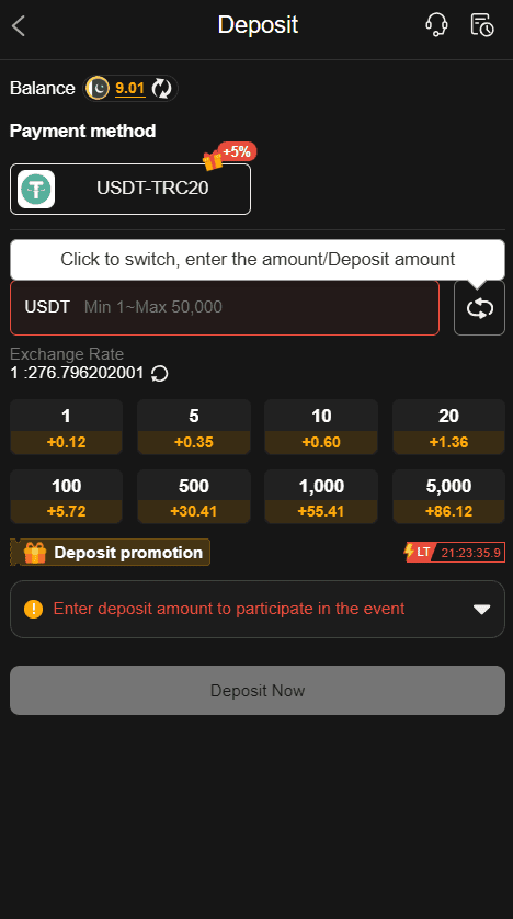 P999 deposit section showing the payment interface and available deposit options