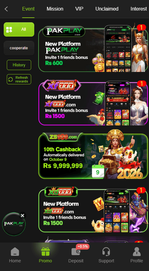 ZS999 Game Rewards and Bonus Offers